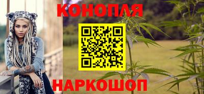 сатива Канаш