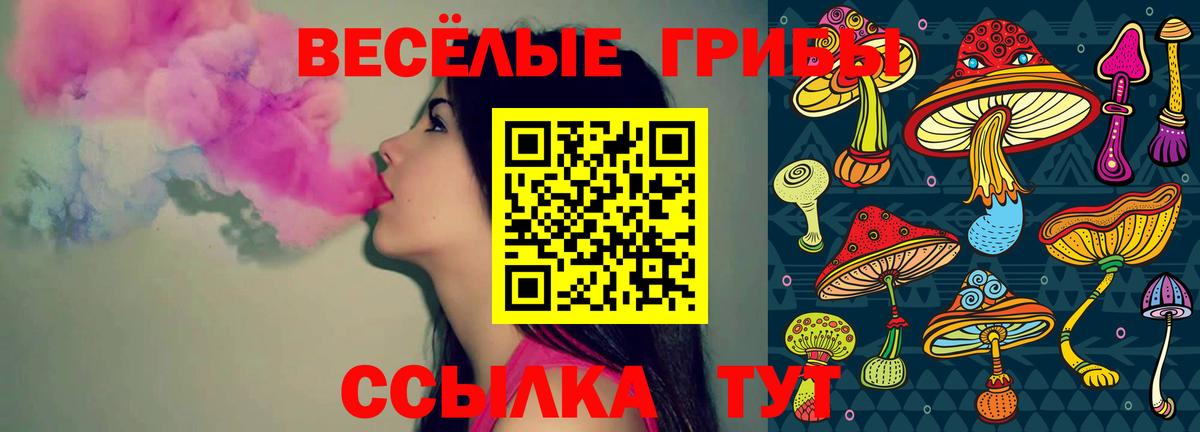 Галлюциногенные грибы Magic Shrooms Владимир