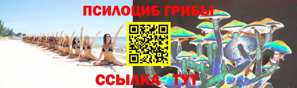 Псилоцибиновые грибы Magic Shrooms  Галлюциногенные грибы Psilocybine cubensis  Вход с VPN  Владимир 
